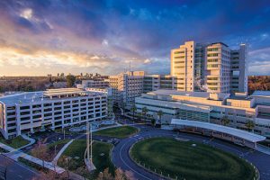 UC Davis Campus